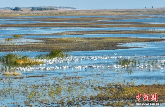 10��16�գ�����ĪĪ���(gu��)�Ҽ�(j��)��Ȼ���o(h��)�^(q��)��(n��i)�������ڑ�ˮ��(�o(w��)�˙C(j��)��Ƭ)�w��� �z