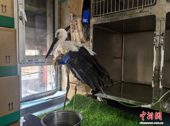 �܂��Ė|�����X���ڽ����ί�����ʯ���� �z