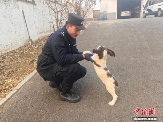 ���Ҳ������c�[�����B(y��ng)�H�ܶ�����ʯ���� �z