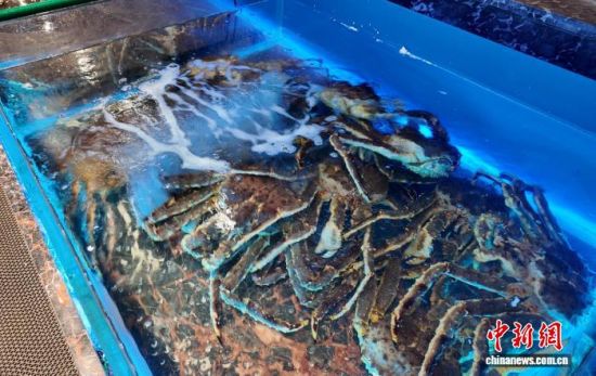 ���B(y��ng)����ĵ���з����߅��ί������ ���D