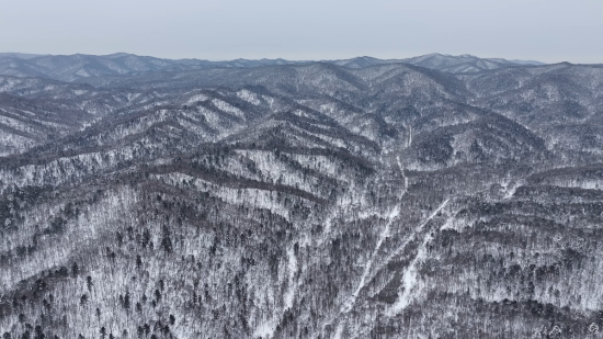 ���AƤ���(zh��n)ĵ���X�� �������ý�w���Ĺ��D