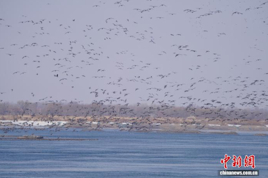 �B��^�������Ժӡ������� �z