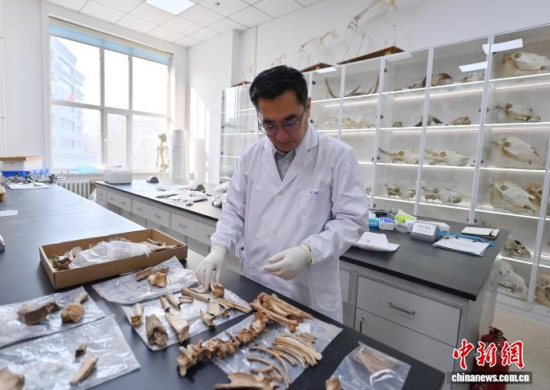 3��20���������L(zh��ng)�����̴�������ӱ��������� �z