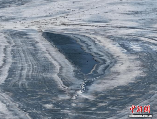 3��16���������(zh��n)�l�������������ڣ����BͣЪҒʳ���������� �z