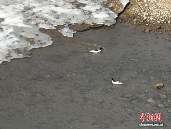 ���A��ɳ���ڼtʯ�օ^(q��)ˮ����������L��ɽɭ�����F(tu��n)�tʯ�֘I(y��)���޹�˾���D