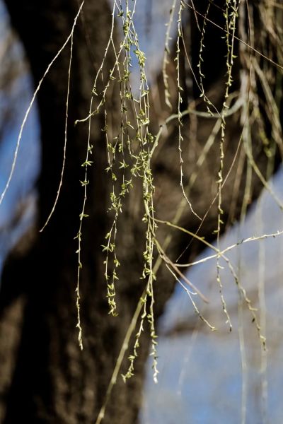 �zӰ��/������