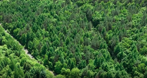 �������ߡ��w�� ���ǡ��o(h��)�҈@